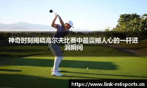 米乐m6体育官网
