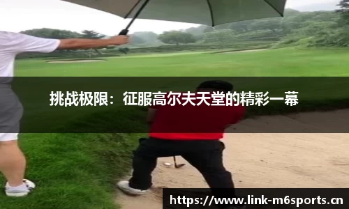 米乐m6体育平台