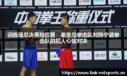训练场总决赛排位赛：秦皇岛拳击队对阵宁波拳击队的扣人心弦对决
